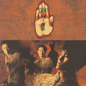 男人插女鸡积视频
