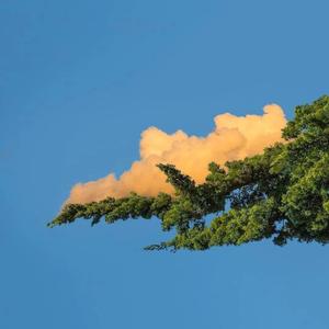 男人插女鸡积视频
