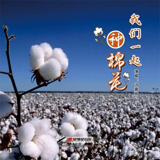 男人插女鸡积视频
